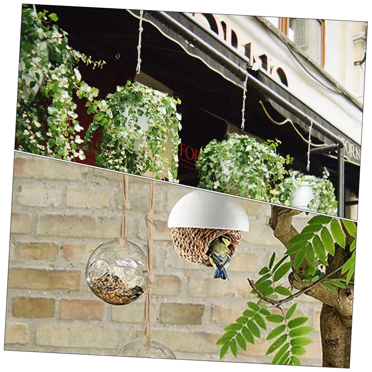 Hemobllo 3 Ensembles Corde De Suspension Macramé Ajustable Pour Plantes Rallonges De Support Pour Pots De Fleurs Décoration Intérieure Extérieure Facile À Installer Durable 8 Pièces * 3