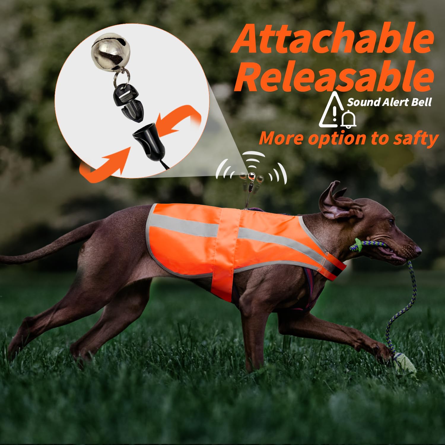 Chaleco reflectante para perro, chaleco de seguridad con cremallera, campana de alerta para perro y chaqueta de alta visibilidad para perro para mantener al perro a salvo de caza, entrenamiento y