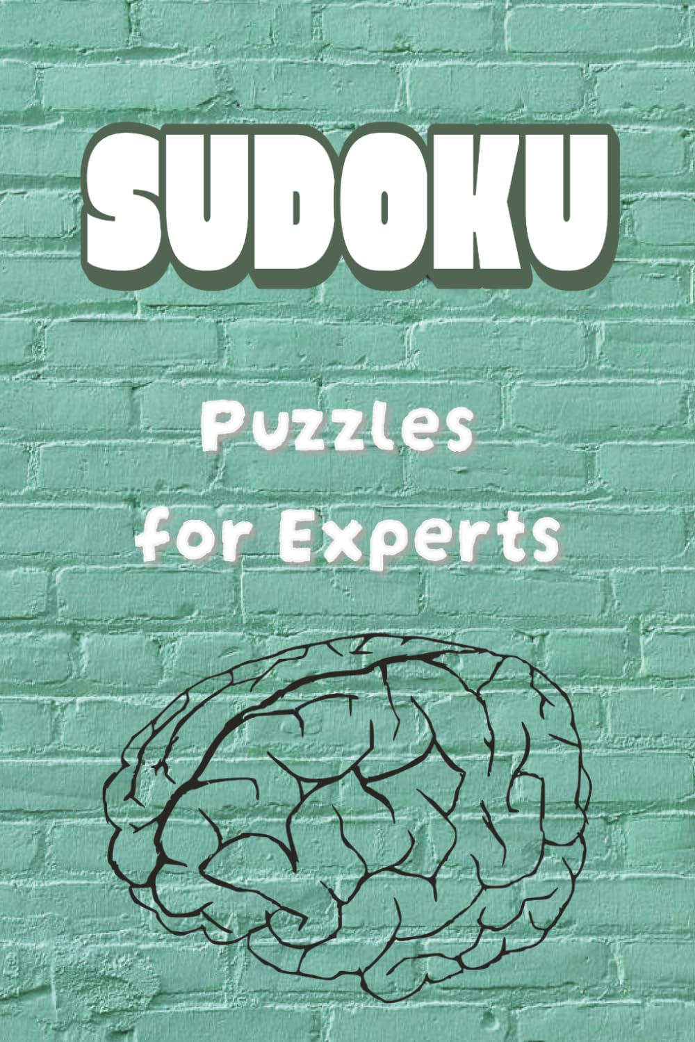 Sudoku Puzzles for Experts