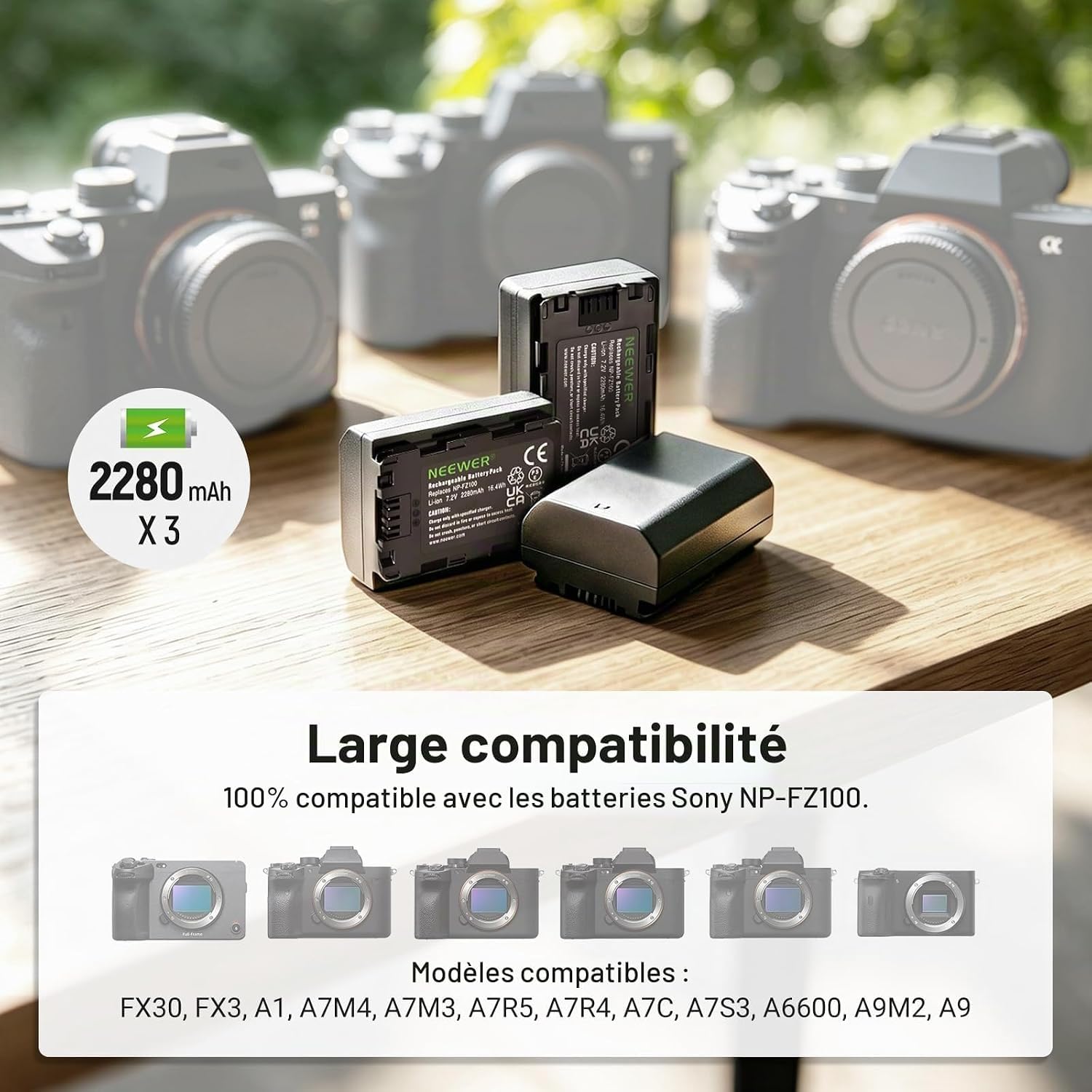 NEEWER Kit de NP-FZ100 Batterie Rechange et Chargeur Compatible avec Sony