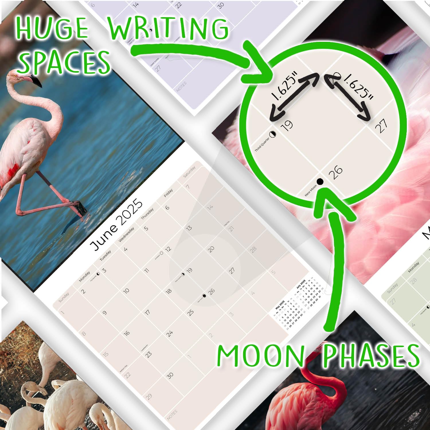 Amazon.com : 2024 2025 Flamingo Calendar - Cute Wildlife Monthly Wall Calendar - 12 x 24 Open - Thick No-Bleed Paper - Giftable - Academic Teacher's Planner Calendar Organizing & Planning : Office Products amazon-com-2024-2025-flamingo-calendar-cute-wildlife-monthly-wall-calendar-12-x-24-open-thick-no-bleed-paper-giftable-academic-teacher-s-planner-calendar-organizing-planning-office-products