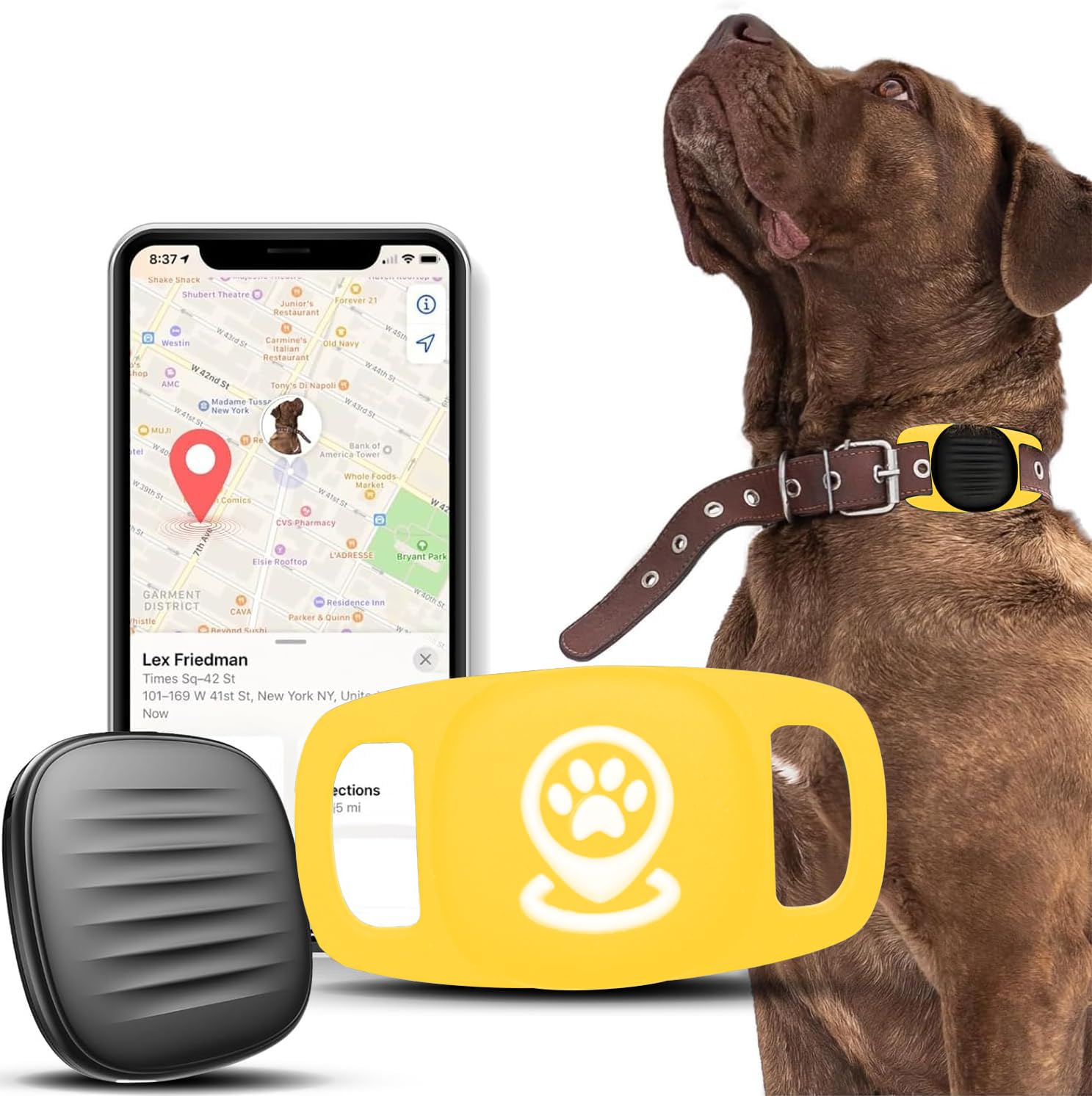 Tractive Gps Cat Tracker Smart Pet Tracker For IOS Works With