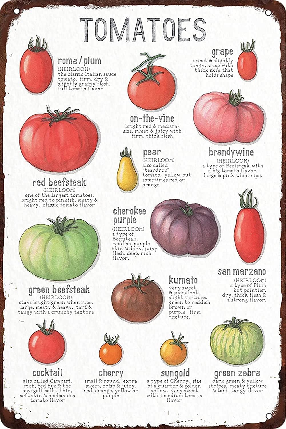 Bioprocess Tomato Knowledge Food Type Chart Posters Plaque Science Guide Room Club Kitchen Wall Decores Wall Decor Poster Metal Sign 8X12 Inches