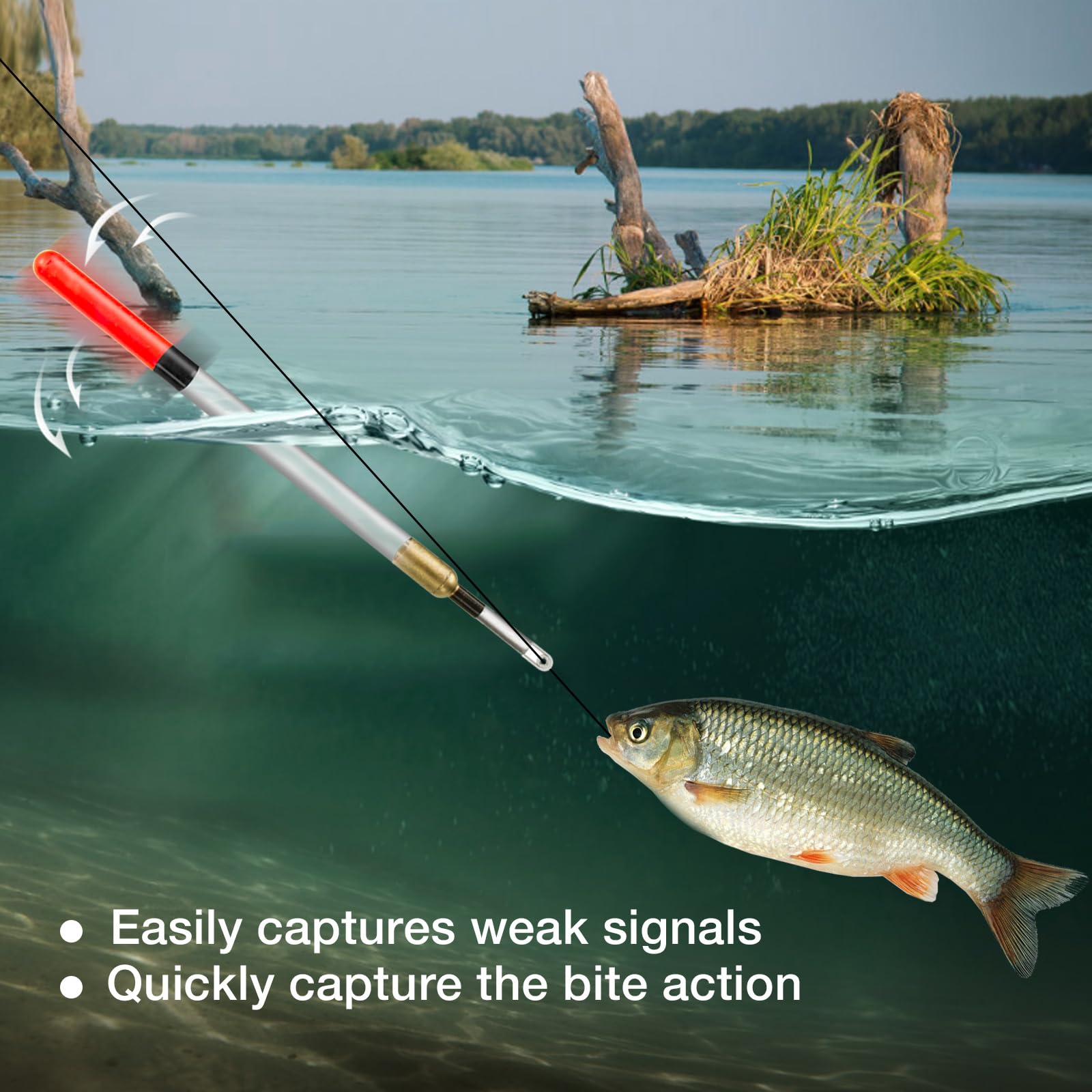 Realure 20 Pcs/5 Sizes Fishing Floats Set 11/13/15/17/19 cm Fishing Tackle Wagglers Straight Insert Fishing Pipe Transparent Coarse Tube for Deep Water Sea Fishing Bait Suspend in Target Water Layer - Image 4
