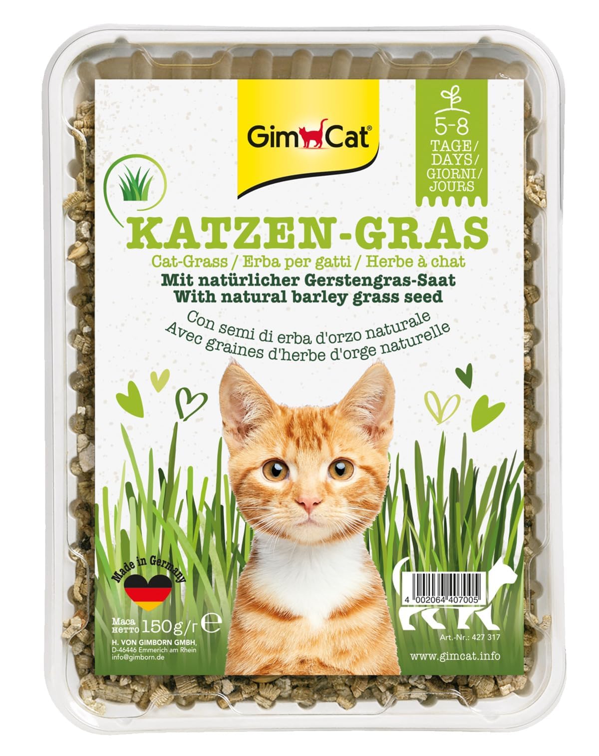 GimCat Erba per gatti con aroma di prato, Miscela da coltivazione controllata con coltivazione rapida 1 vaschetta, 1 x 150 g