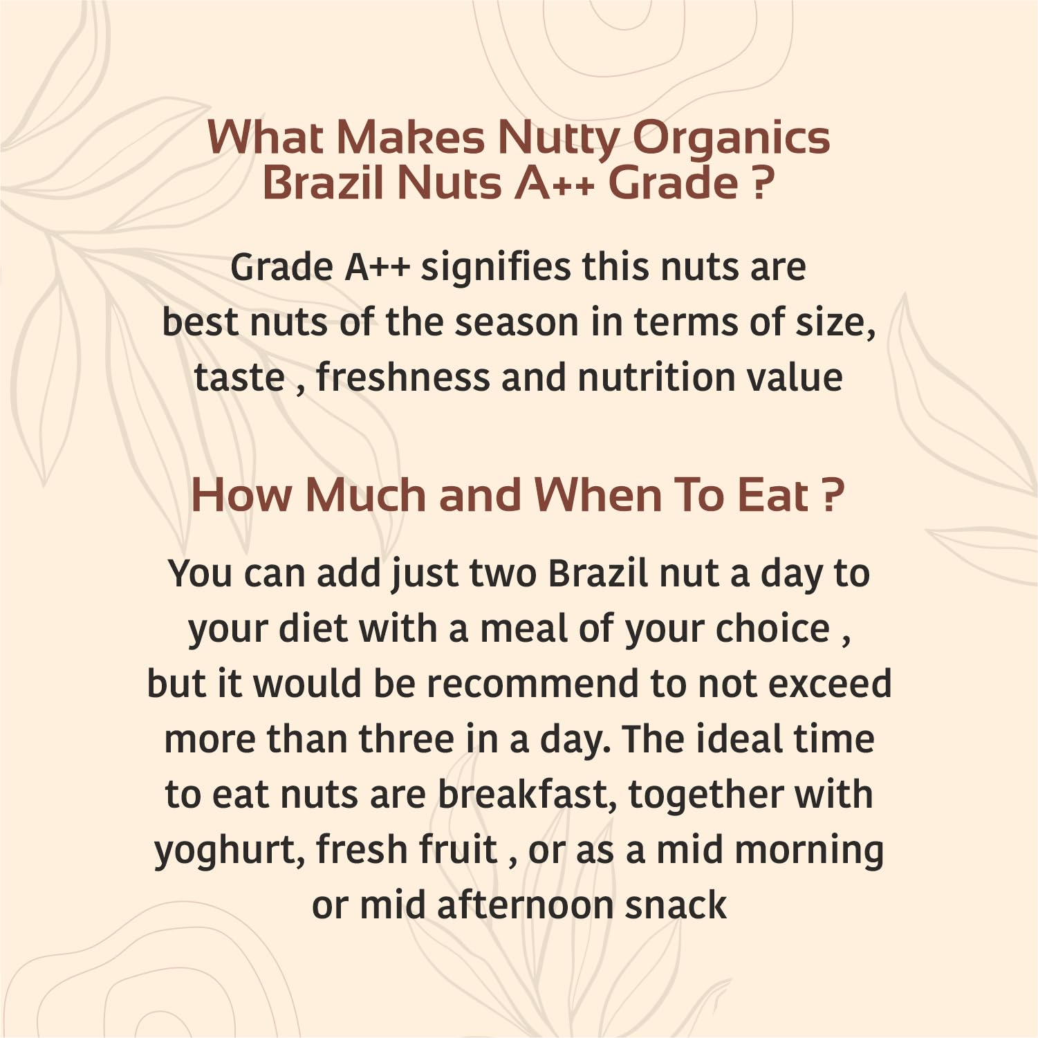 NUTTY ORGANICS Nutty Oraganics Brazil Nuts - 1 Kg (Grade A ++ Nuts, Premium Jumbo Size) - Richest Natural Source Of Selenium (500 Gm*2) - Image 5 thumbnail