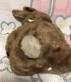 Amazon.co.jp: レトロ サンアロー フルーリスト うさぎ