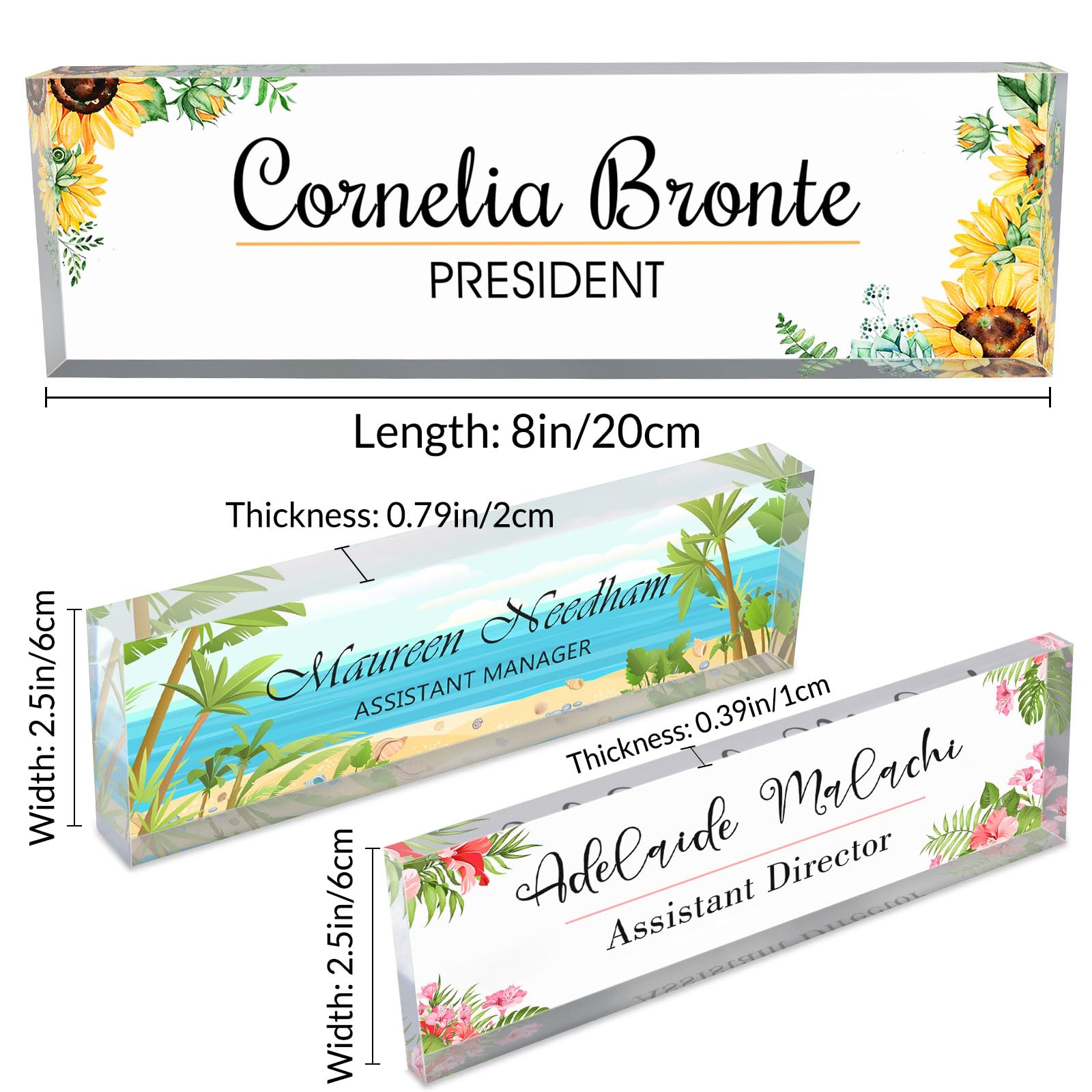 Placas de nombre de escritorio para oficina, placa de nombre personalizada para escritorio, vidrio acrílico transparente, decoración de escritorio de oficina para mujeres o hombres, 8 x 2.5 pulgadas