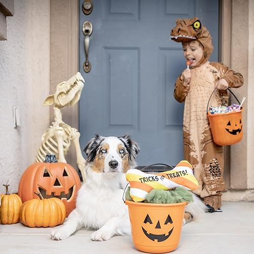 Miniatura 5 de Huxley & Kent para perros  Trucos para huesos de golosinas  Juguete para perros de Halloween con chirriante  Regalo divertido para perros