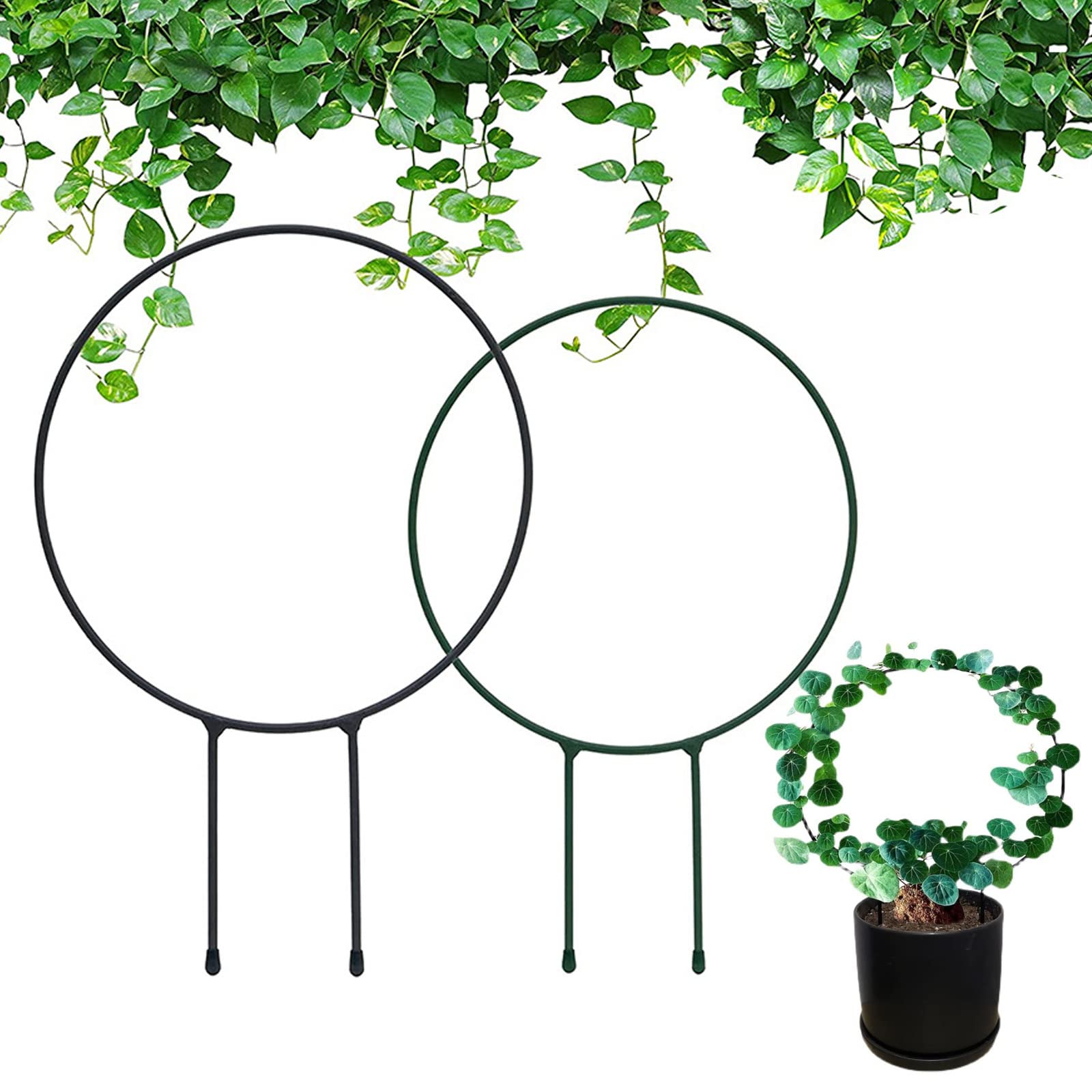 EQLEFMetal Garden Trellis for Climbing Plants 2 Pcs, Round Decorative Metal Garden Stakes Plant Support Stakes for Indoor and Outdoor Ivy Hoya Plant
