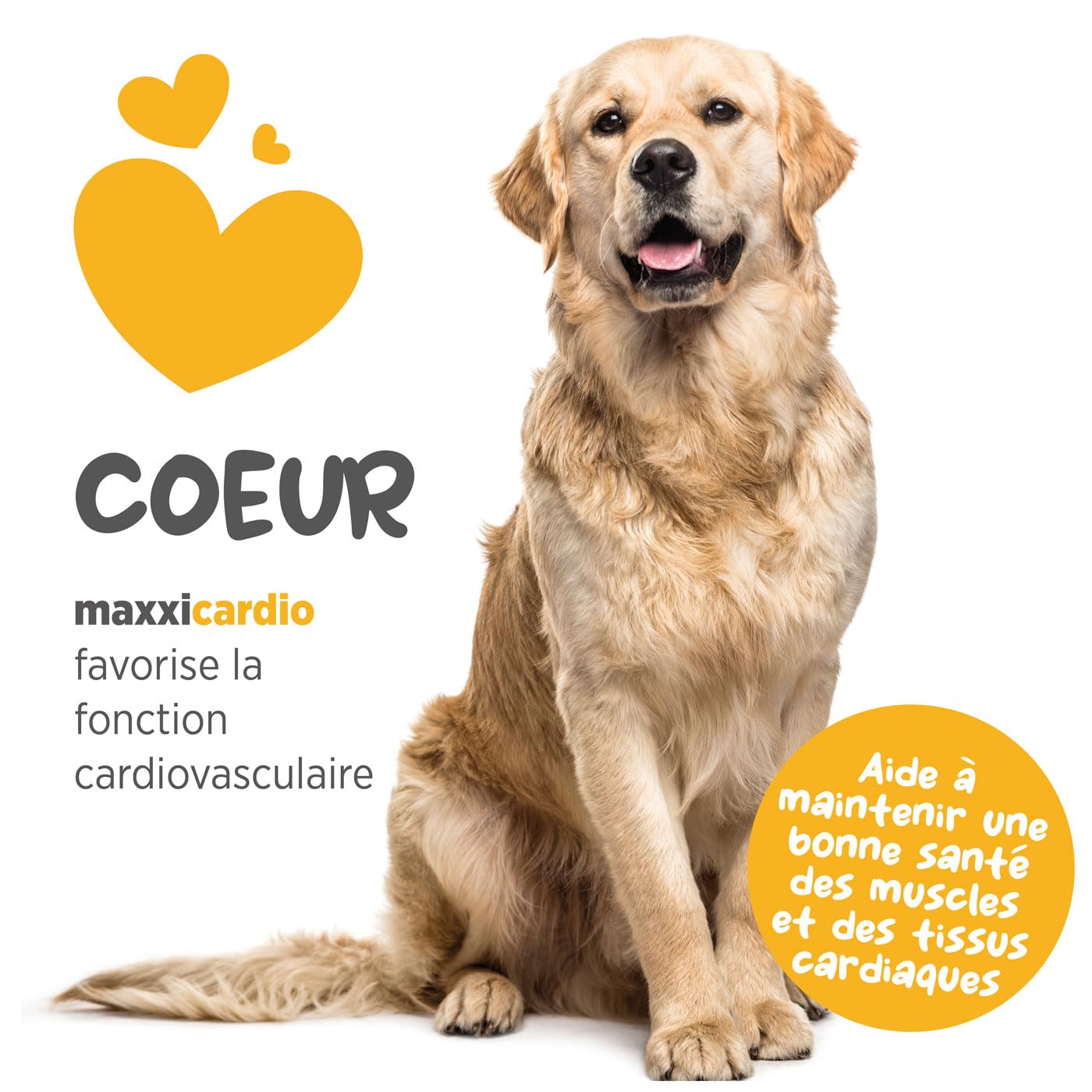 maxxipaws maxxicardio Soutien du Cœur et Cardiovasculaire - Complément Alimentaire pour Chiens, 150 g