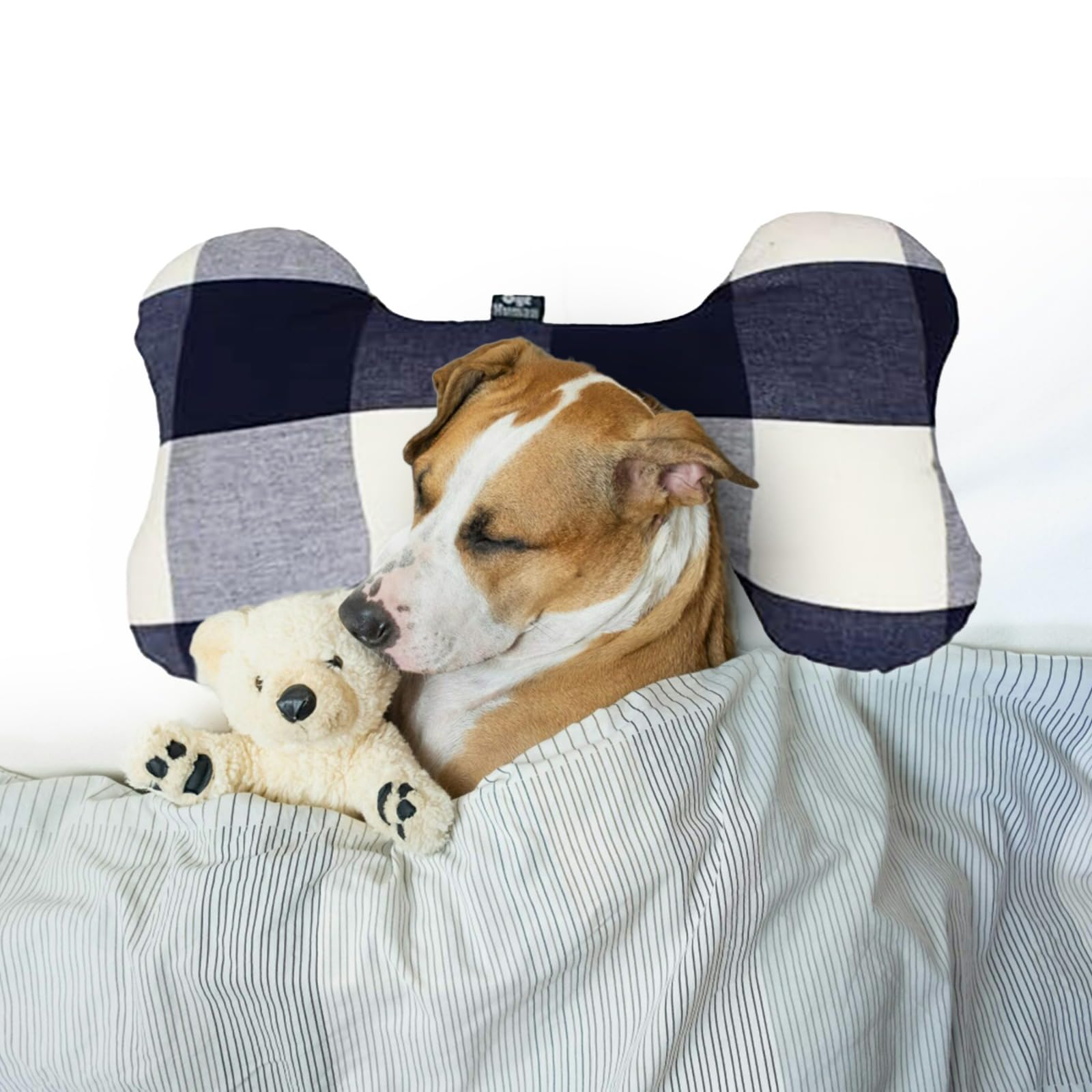 See full amazon price history chart for Oye Human Cotton Pet Pillow | Dog Bone Pillow | Cotton Dog Pillow | Pillow for Dogs | Bed Pillow for Dog | Bone Shape Sleeping Pillow for Dogs Oye Human Cotton Pet Pillow | Dog Bone Pillow | Cotton Dog Pillow | Pillow for Dogs | Bed Pillow for Dog | Bone Shape Sleeping Pillow for Dogs (B0CVGR2MCR) Amazon Price History, Amazon Price Tracker
