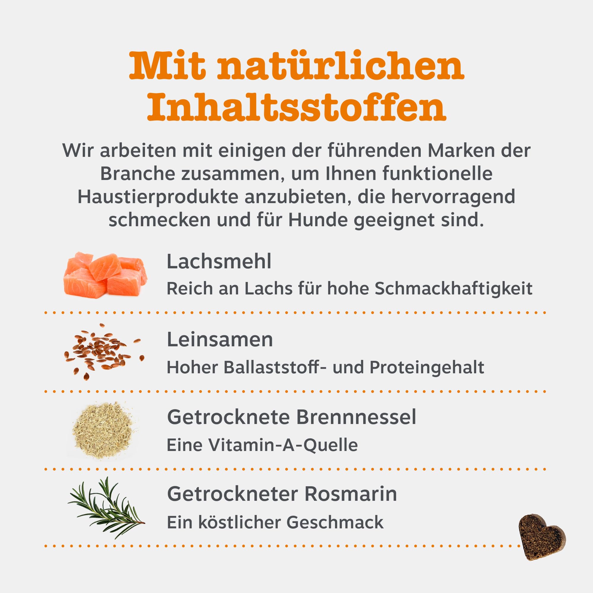 Zesty Paws Anti-Itch für Hunde – Hilfe bei juckender Haut, Pfoten & Ohren – Gegen Lecken & Kratzen – Unterstützt Immunsystem & Verdauung – Mit Lachsöl & Probiotika – 90 Soft Chews