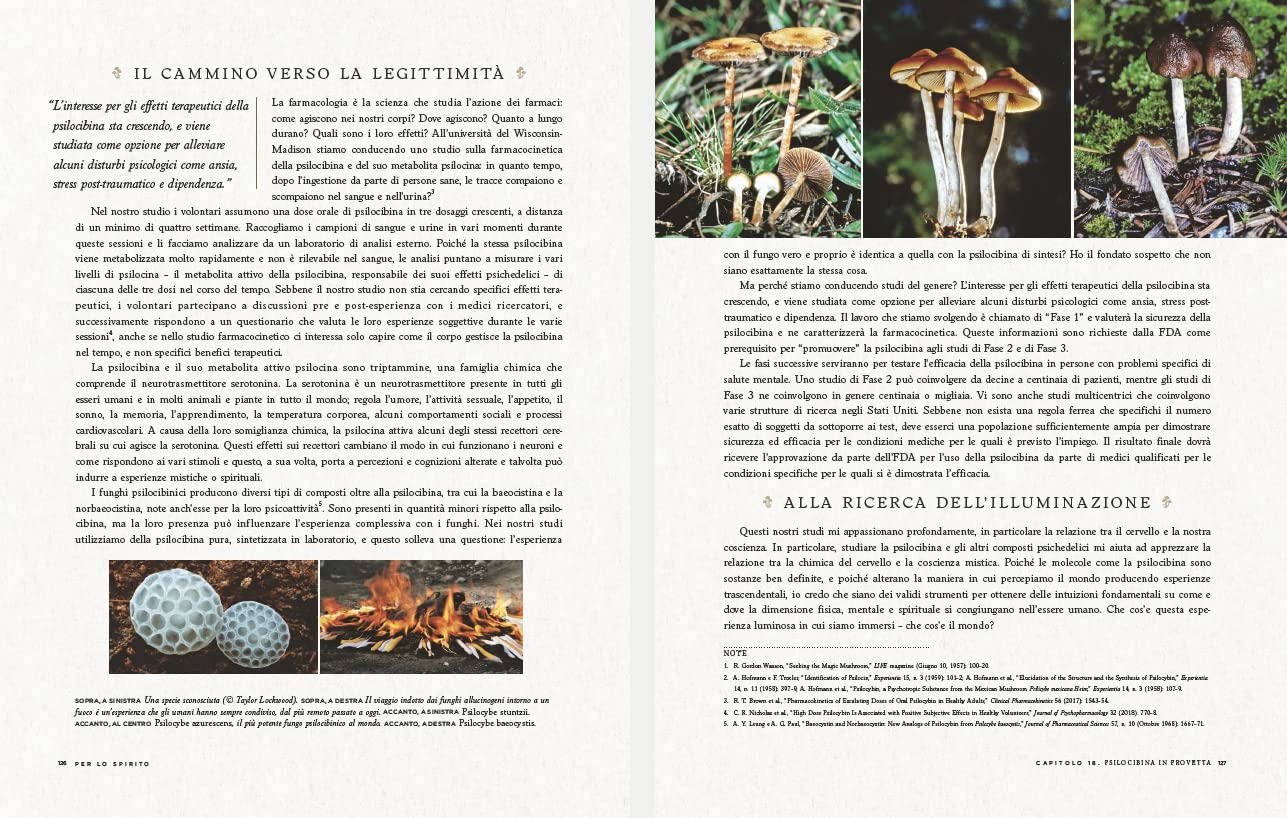 Funghi Fantastici: come i funghi possono curarci, espandere la nostra coscienza e salvare il pianeta