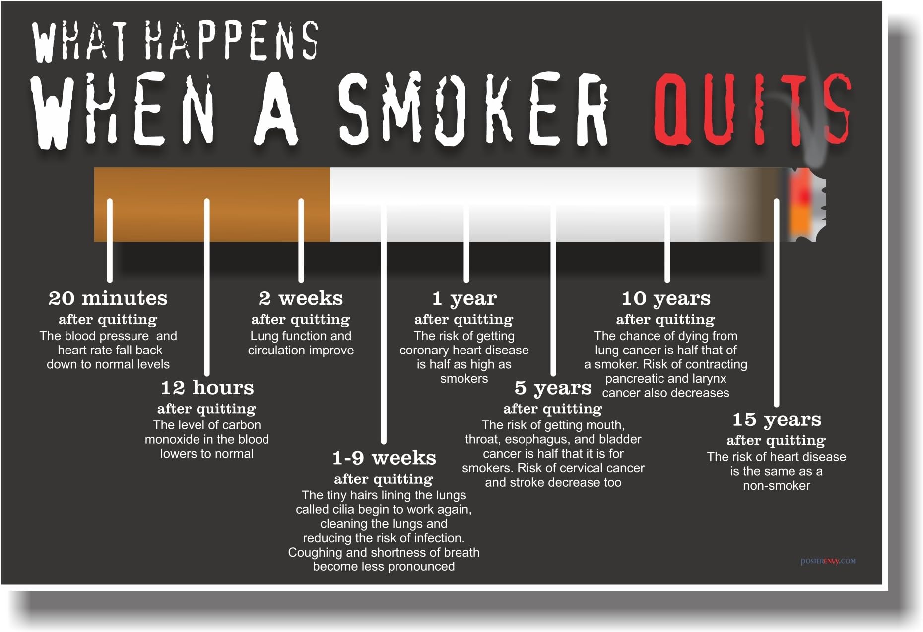 What Happens When a Smoker Quits - NEW Health Poster