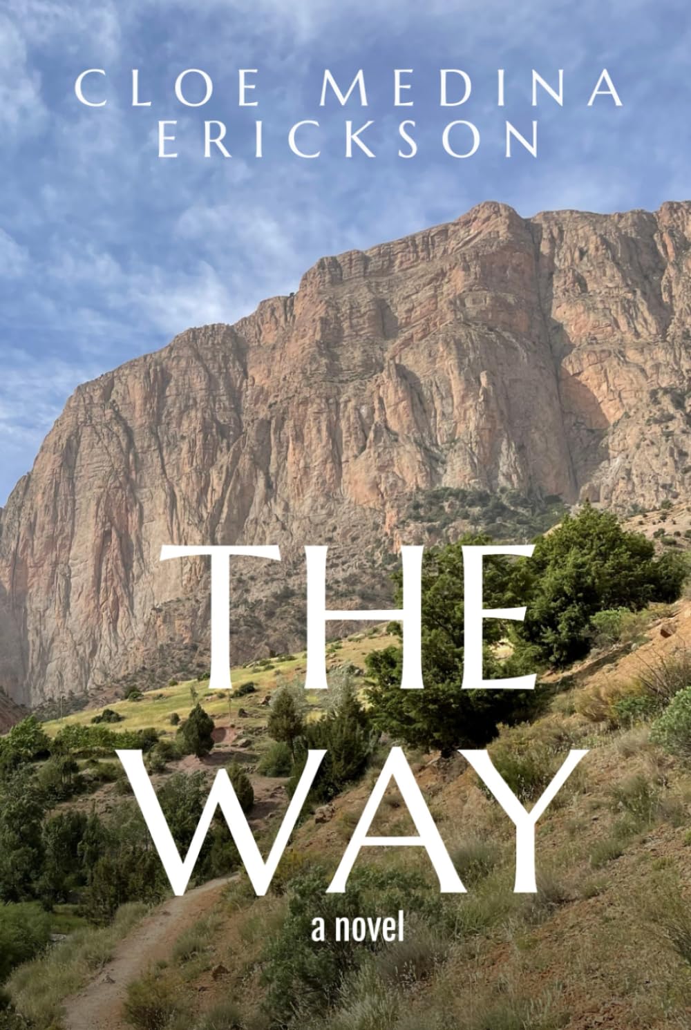The Way: A novel