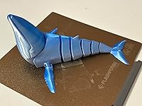 Review Image by Denise Litchfield Denise Litchfield