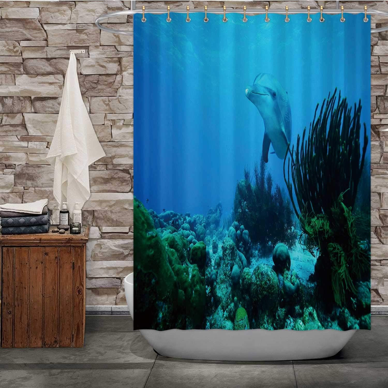 Curious Dolphin Caribbean Caribbean,Shower Curtain Swimming