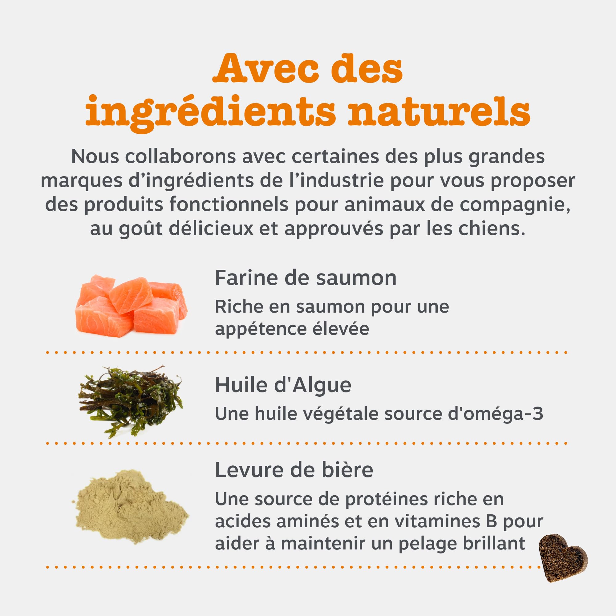 Zesty Paws Santé Peau et Pelage pour Chiens | Soutien Peau Saine et Pelage Brillant | Compléments pour Chiens sous Forme de Bouchée Gourmande | Aliments Complémentaires| Huile de Poisson - 90 unités