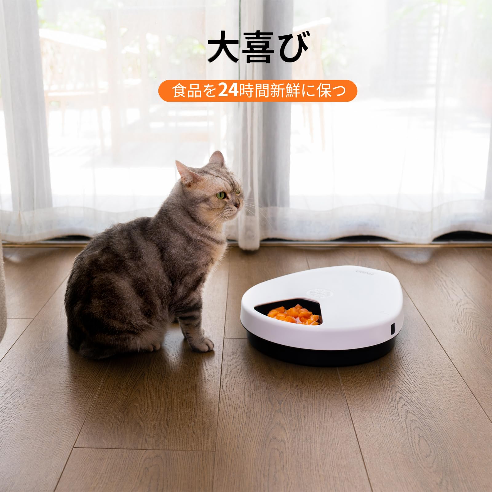 自動給餌器 UBpet F10 猫 【持続保鮮】電子半導体冷却機能 Amazon | US Sense 自動給餌器 猫 【持続保鮮】電子半導体冷却