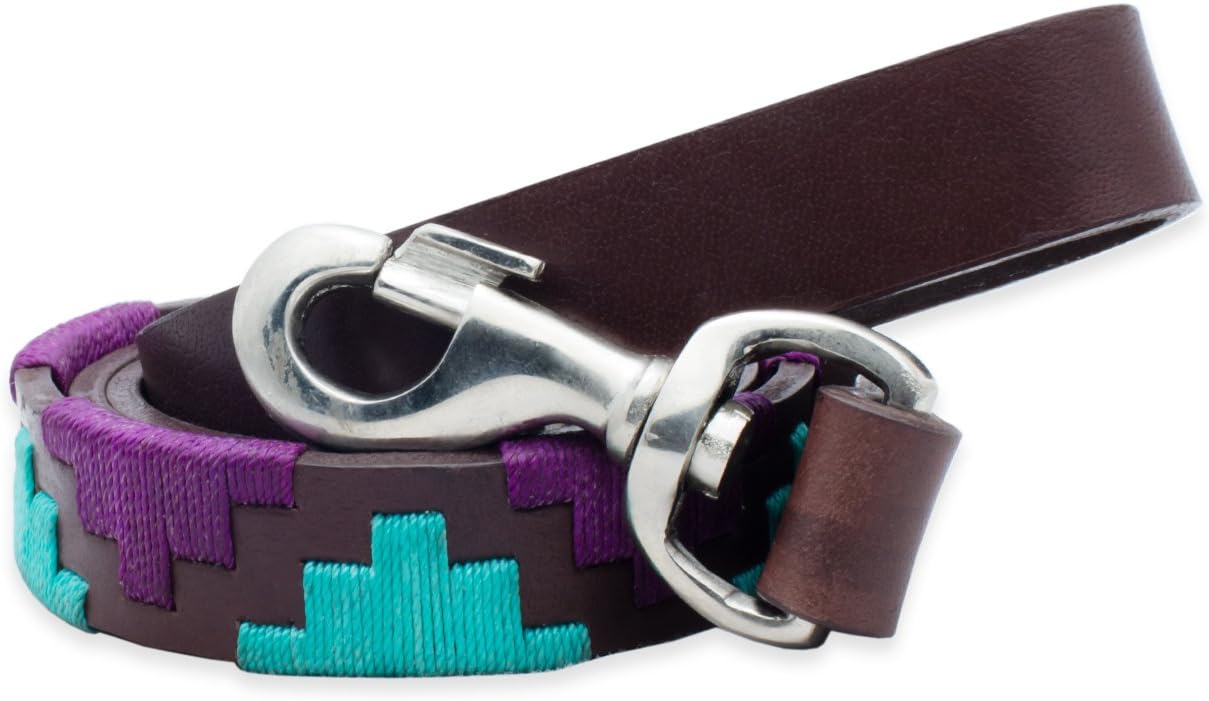 Gaucho Goods Heavy Duty Dog Leash (Zephyr 4ft)