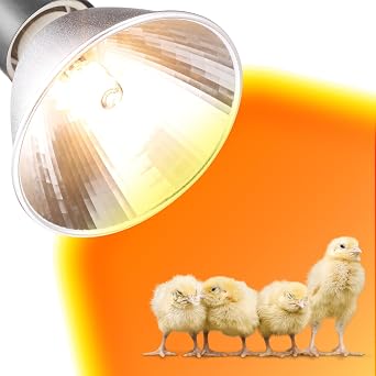 3 Pack Replacement G9 Basking Spot Heat Lamp for Chickens, Tiny Clear Bulbs Beads (50 Watt)