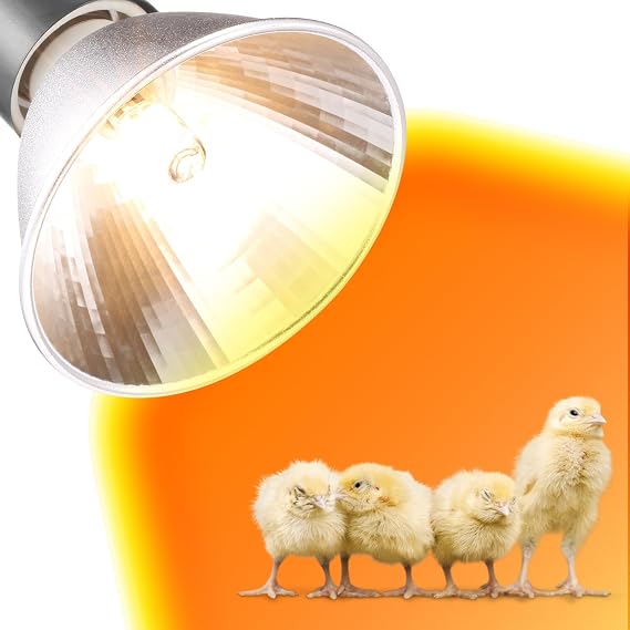 3 Pack Replacement G9 Basking Spot Heat Lamp for Chickens, Tiny Clear Bulbs Beads (50 Watt)