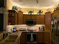 Review Image by KDHayner