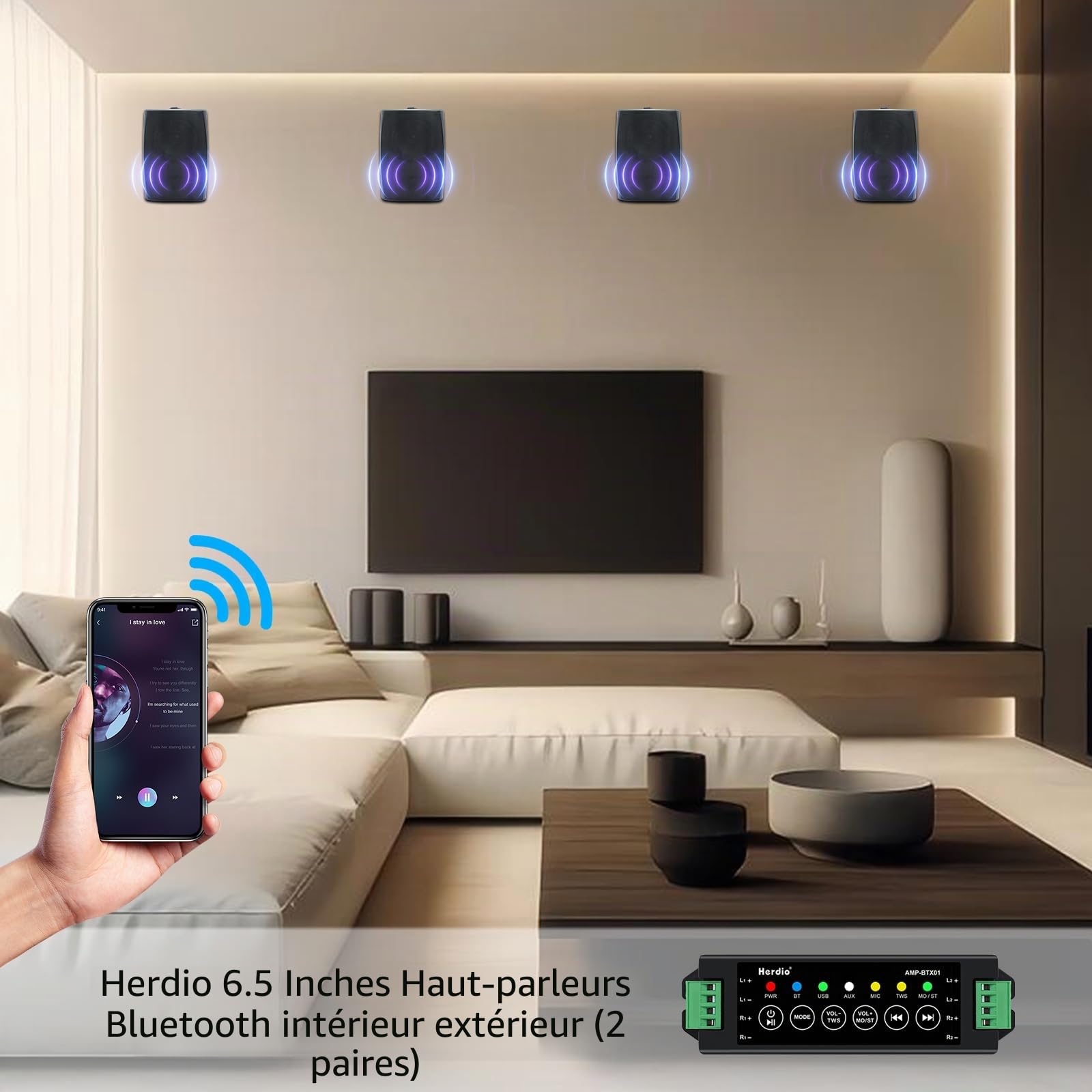 Herdio 6,5 Pouces 800 W Haut-parleurs Bluetooth d'extérieur, filaires étanches avec amplificateur Multifonctionnel, Haut-parleurs muraux pour terrasse, Piscine, Jardin (Noir)