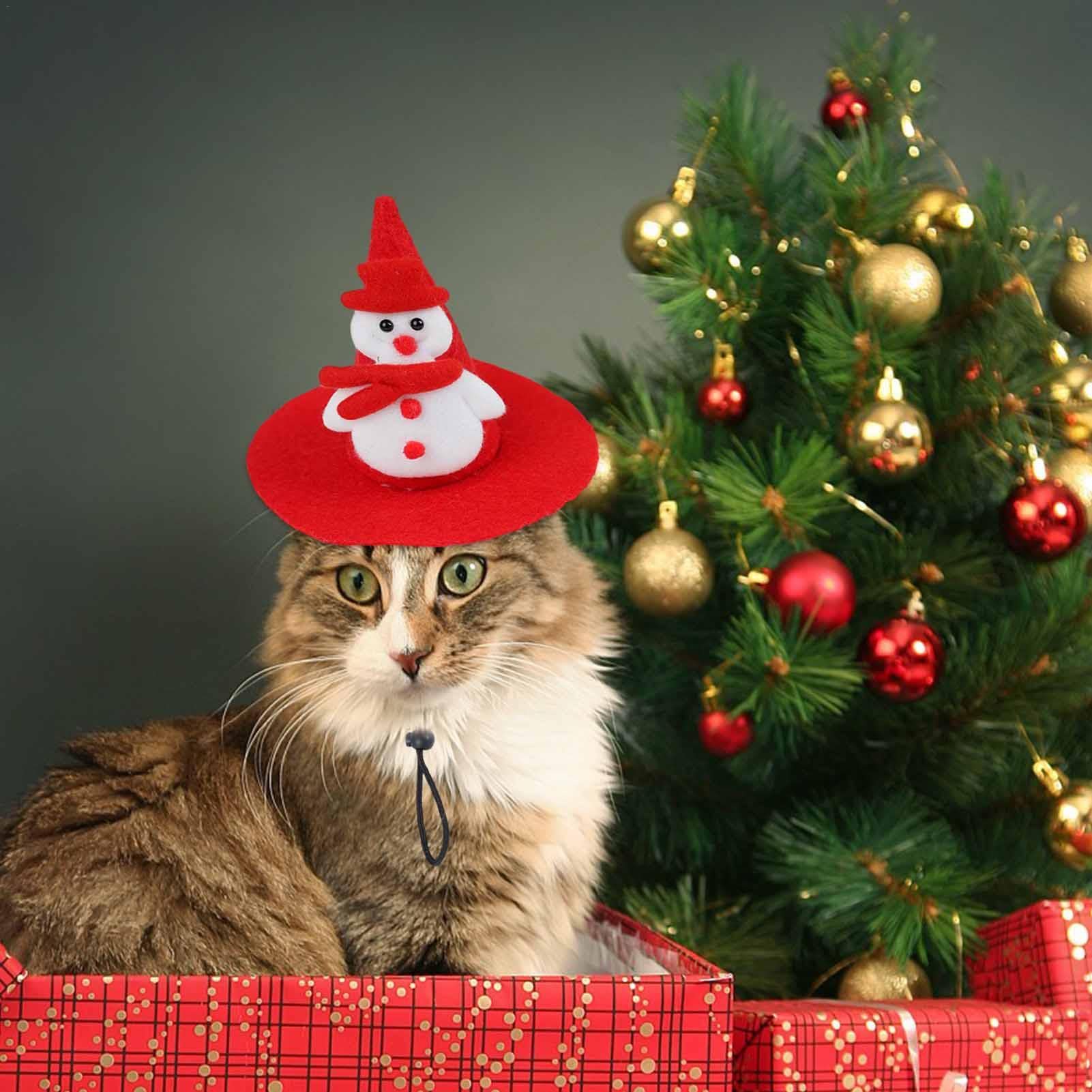 お値下♡未使用　スタンピンアップ　フランス語　猫と犬　クリスマス お値下♡未使用 スタンピンアップ フランス語 猫と犬 クリスマス