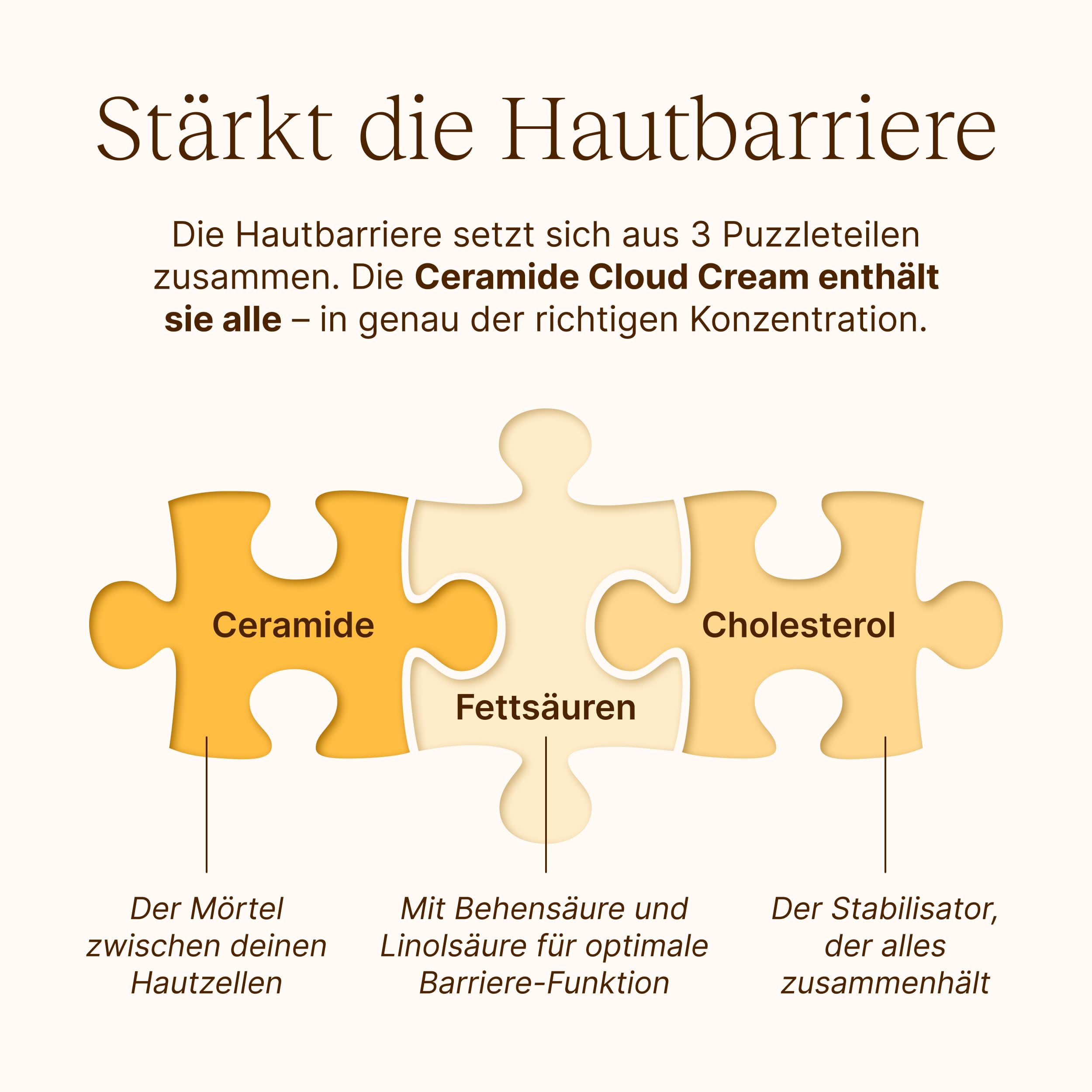Regenerierende Nachtcreme mit 3 % Ceramide-Komplex – leichte Formel mit Q10 & Panthenol zur Stärkung der Hautbarriere & Regeneration I Für alle Hauttypen I Vegan & cruelty-free
