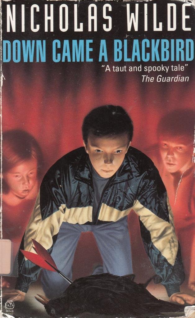 Down Came a Blackbird Wilde, Nicholas 9780006746775 Books