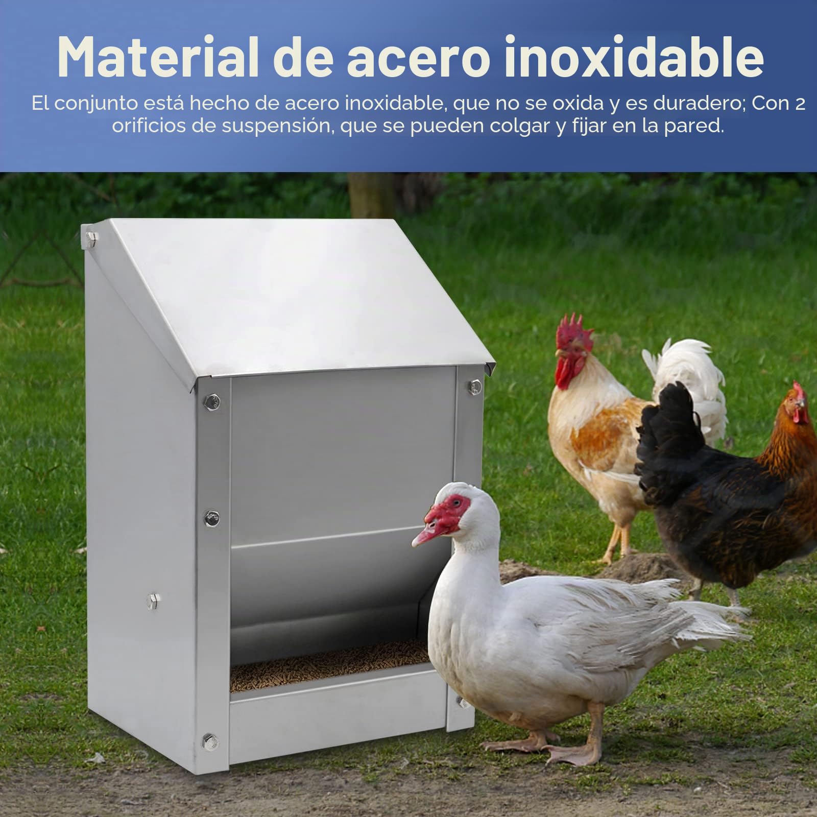 Alimentador automático de pollo de 4,5 kg, de acero inoxidable, con cuchara, dispensador de alimentos, comedero para gallinas, patos, aves de corral, comedero de pollo al aire libre