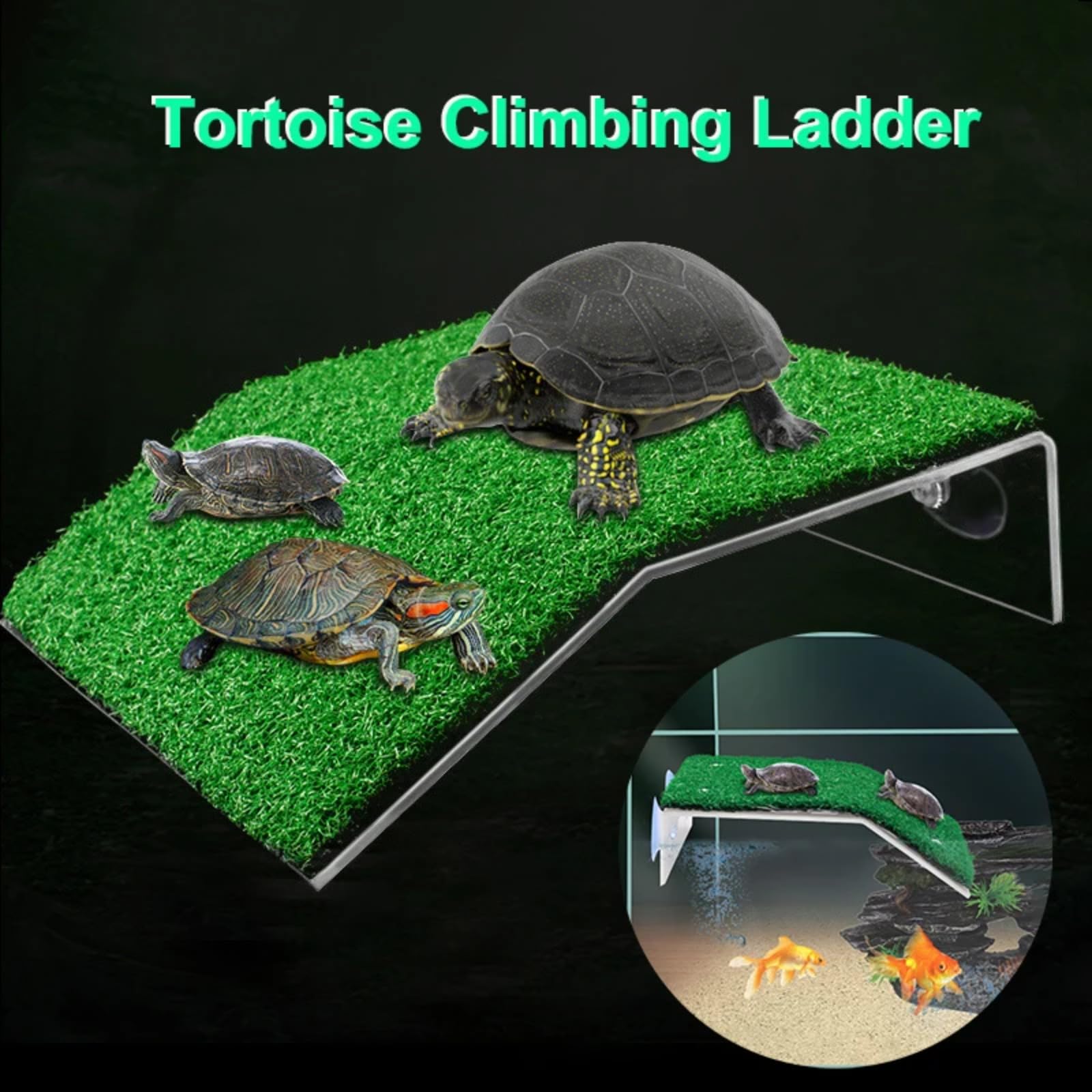 Turtle Basking Platform - Rampa de césped artificial flotante | Accesorio de terrario para reptiles y anfibios | PP no tóxico con ventosas fuertes S/M/L