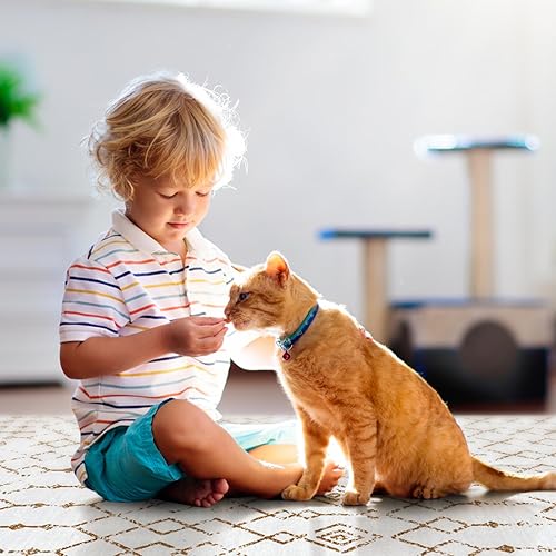 Miniatura 6 de Anidaroel Alfombra marroquí lavable grande de 5 x 7 pies para sala de estar, alfombras suaves para dormitorio, pelo bajo, antideslizante, alfombra