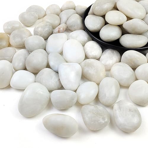 SHIZWU Piedras de río blancas pulidas de 2 libras, guijarros de 1 a 2 pulgadas para plantas, piedras para paisajismo, guijarros para pecera, jardín,