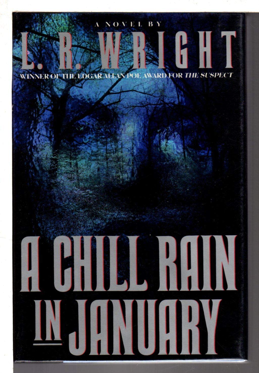 A Chill Rain in January