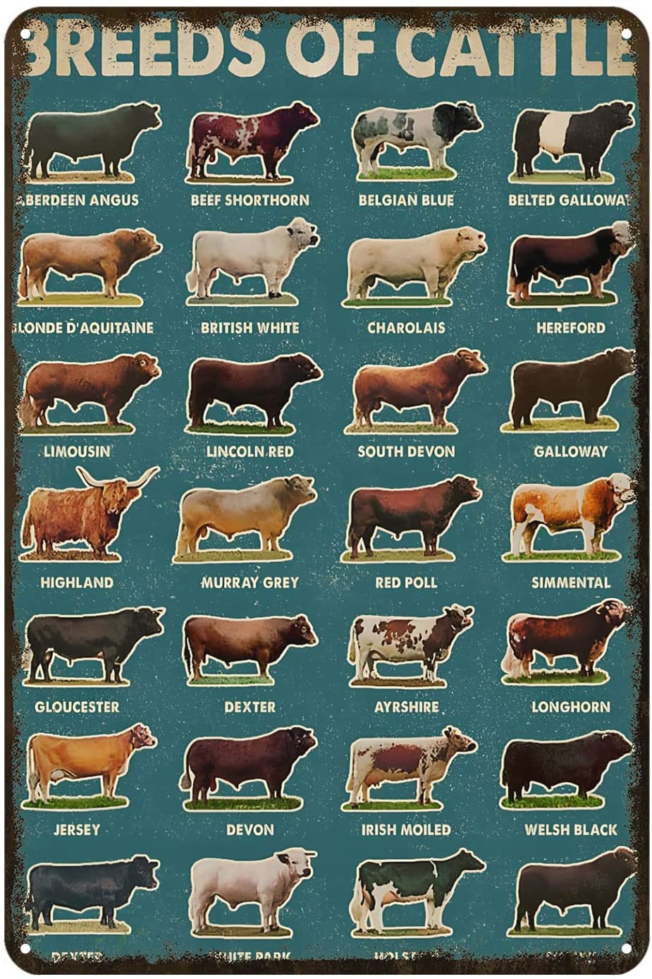 Breeds of Cattle for Lovers Farmer Metal Sign Rustic Decor Vintage Tin Sign Home Kitchen Bar Cafe Farm Club Cave Wall Decor Cow Tin Sign Vintage Tin Signs Bathroom 8x12 inch
