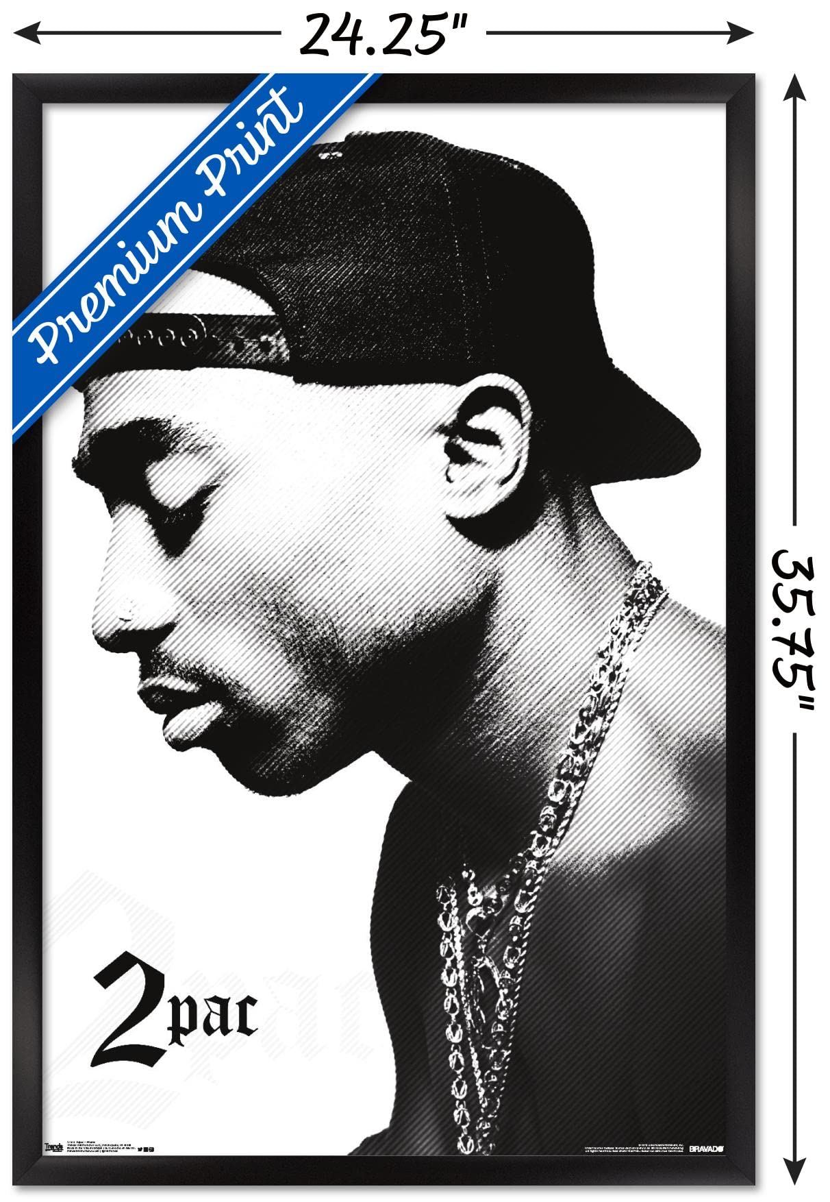 Amazon.com: Trends International Tupac - Profile Wall Poster