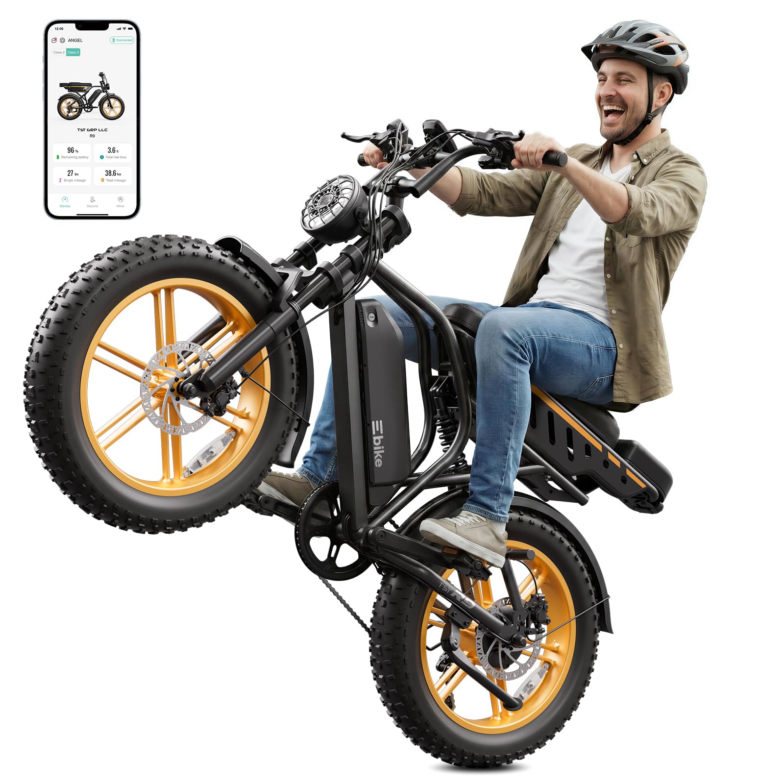 Electric Bike for Adults (TS TST GRP LLC), Retro 1500W