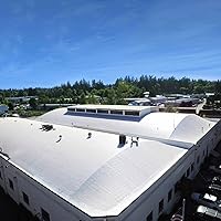 Vista 5 de Laboratorios de Investigación AMES MSS1 Pintura para techo de máximo estiramiento, 1 galón, blanco