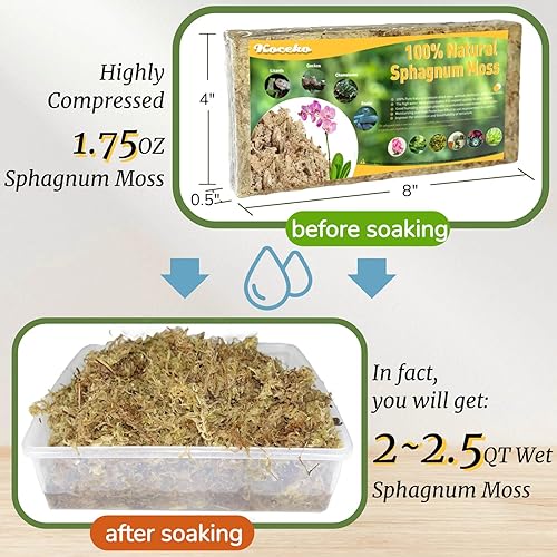 Miniatura 3 de Natural Sphagnum Moss for Plants - Orchid Potting Mix Peat Moss Carnivorous Dried Bark for Sarracenia, Gardening Succulents Reptiles Decorating