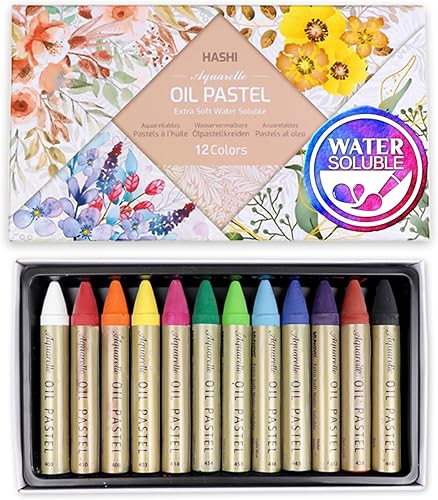 HA SHI Pasteles de aceite soluble en agua para artistas, 12 colores, crayones de acuarela, suministros de arte de alta calidad para niños, adultos,