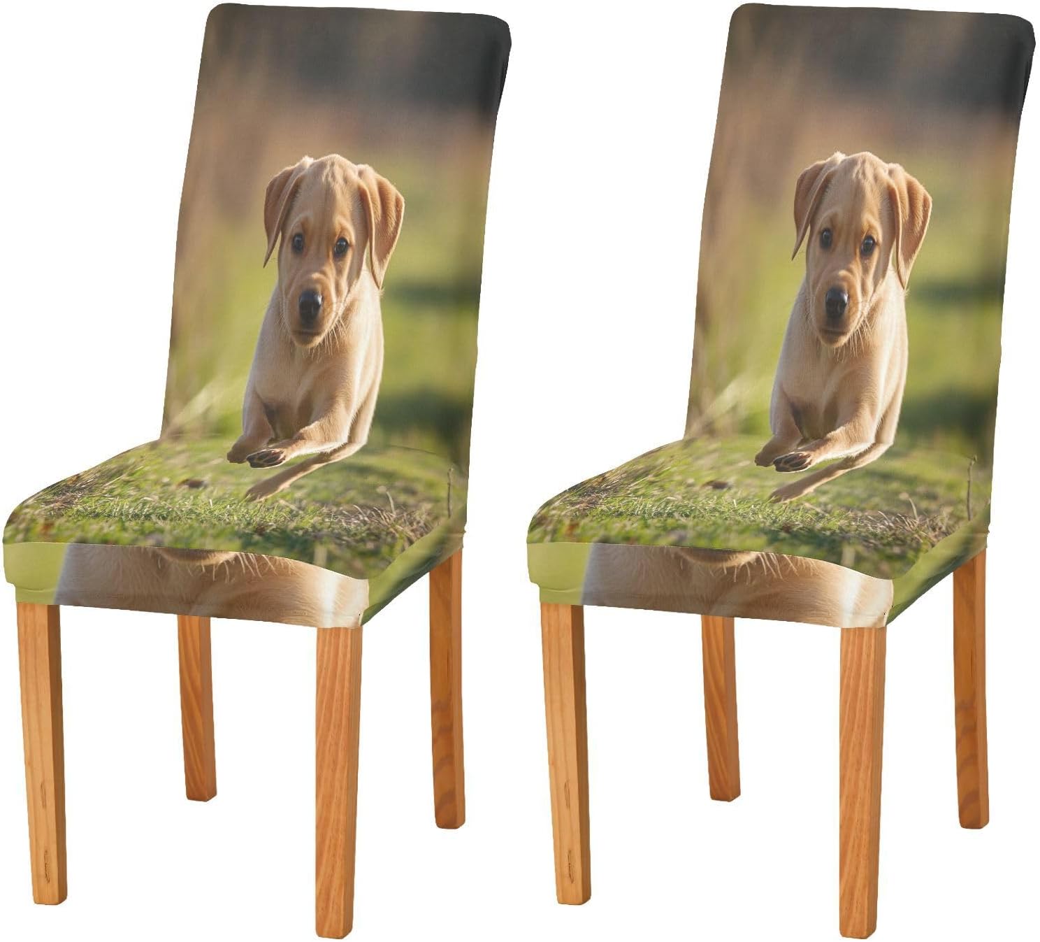 ALAZA Chair Covers for Dining Room, Fox Red Labrador Puppy Running Stretch Chair Cover Sets Chair Protector Removable Washable for Ktichen Restaurant Hotel