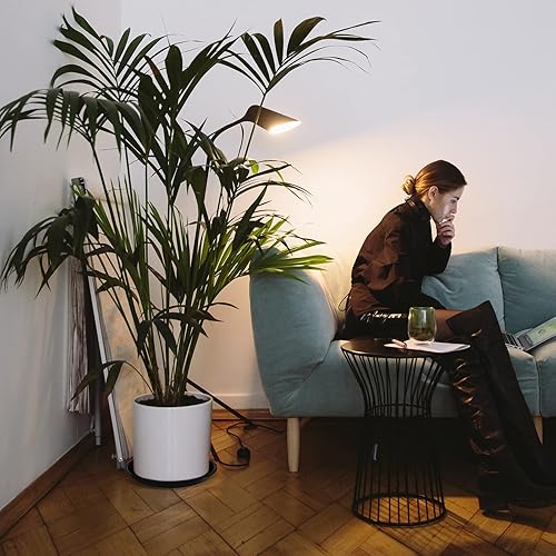 Miniatura 6 de Paquete de 30 platillos redondos de plástico para plantas, platillos negros para macetas, platos gruesos para plantas, bandeja de agua, bandeja de