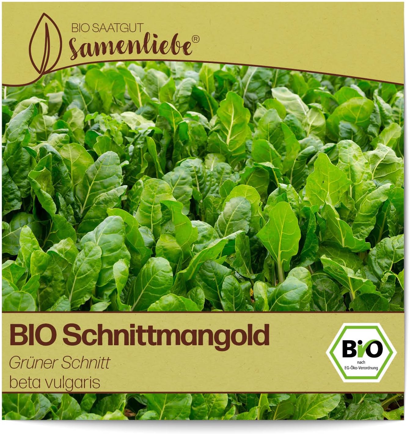Samenliebe BIO Palerbsen Samen alte Sorte Blauwschokker süß aromatisch