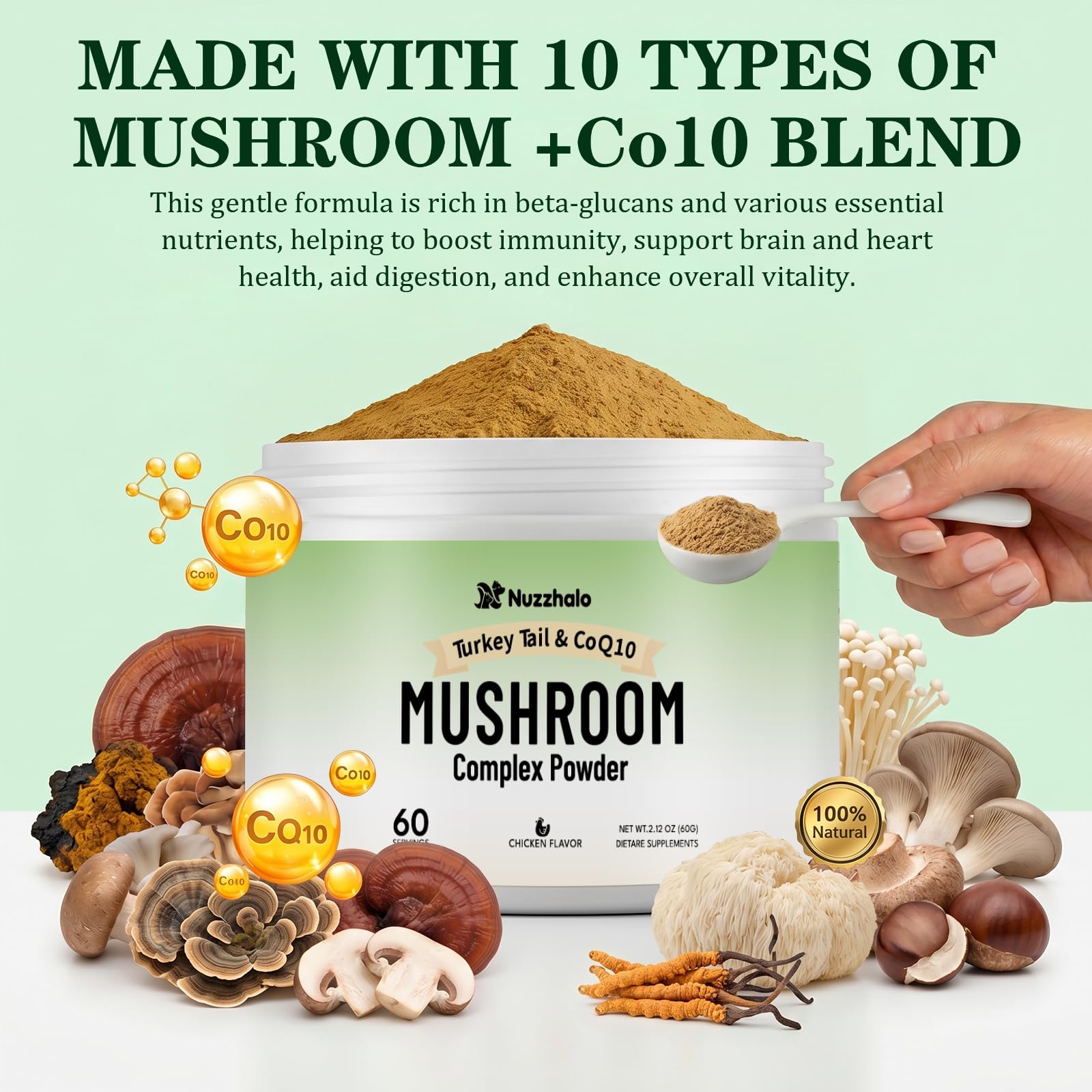 Nuzzhalo Turkey Tail CoQ10 Mushroom Powder for Senior Dogs Cats 60-Day Mix — Amazon image 2
