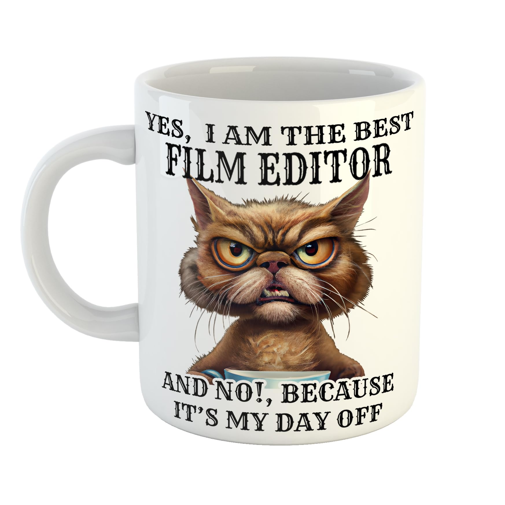 Yes I am The Best Film Editor and No Because Its My Day Off Funny Cat Mug