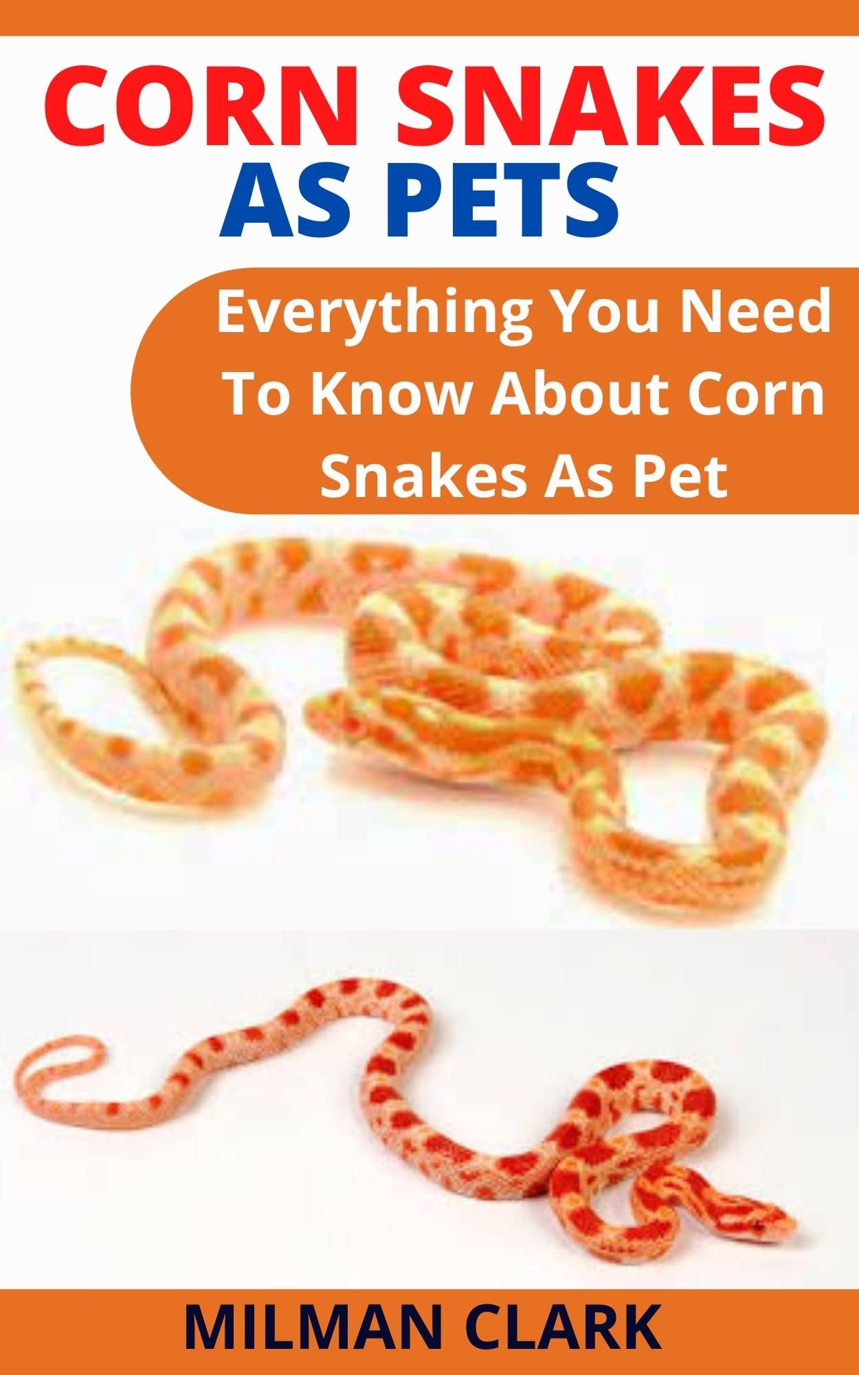 Buy CORN SNAKES AS PETS Everything You Need To Know About Corn Snakes
