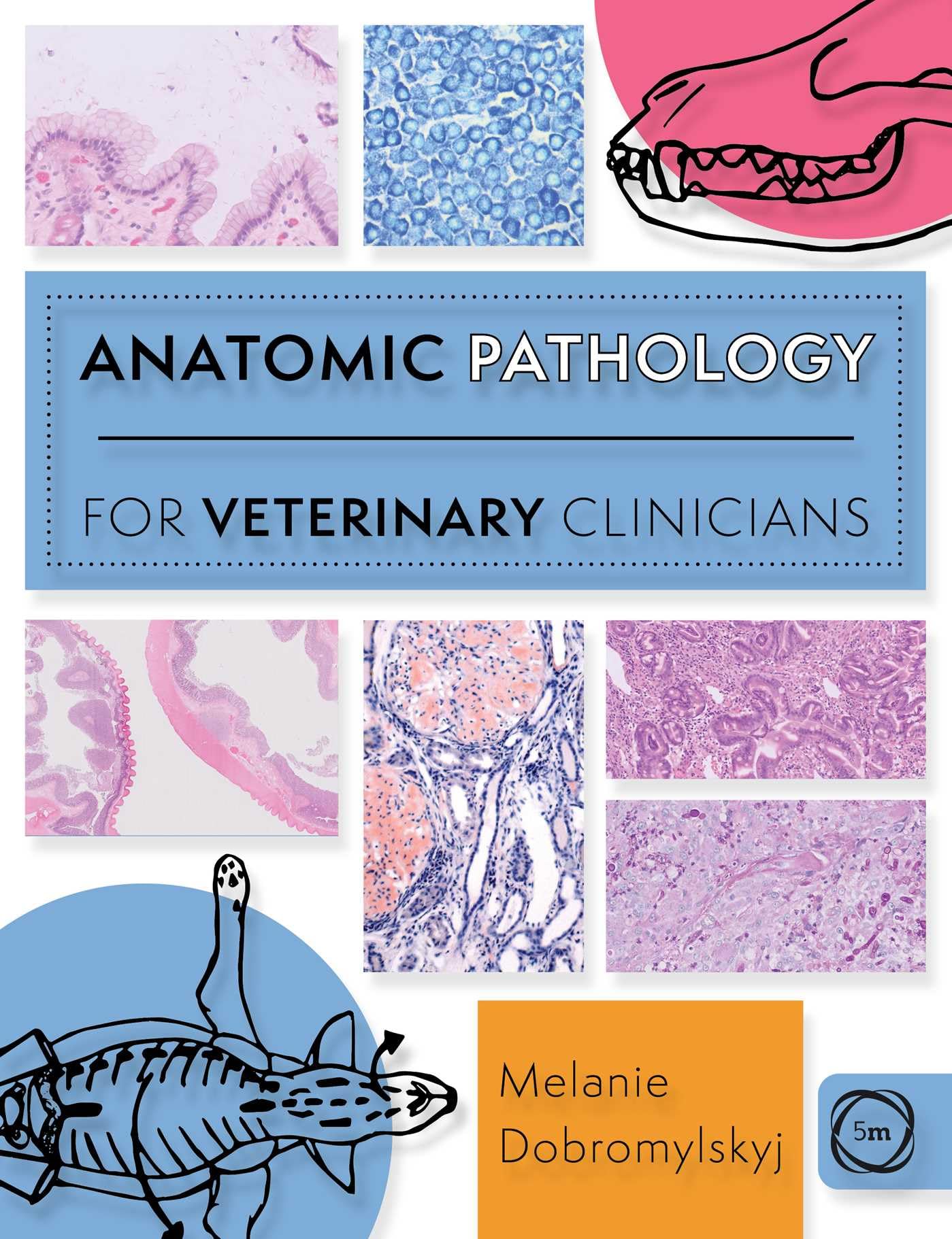 Buy Anatomic Pathology for Veterinary Clinicians: Informacion practica para el diseno y aplicacion de humedales para tratamiento (Veterinary Atlases) — BookShops.in
